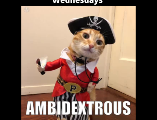 Words from Mr. Cuddles® Wednesdays, Educational Video Cat Presents Word “Ambidextrous”