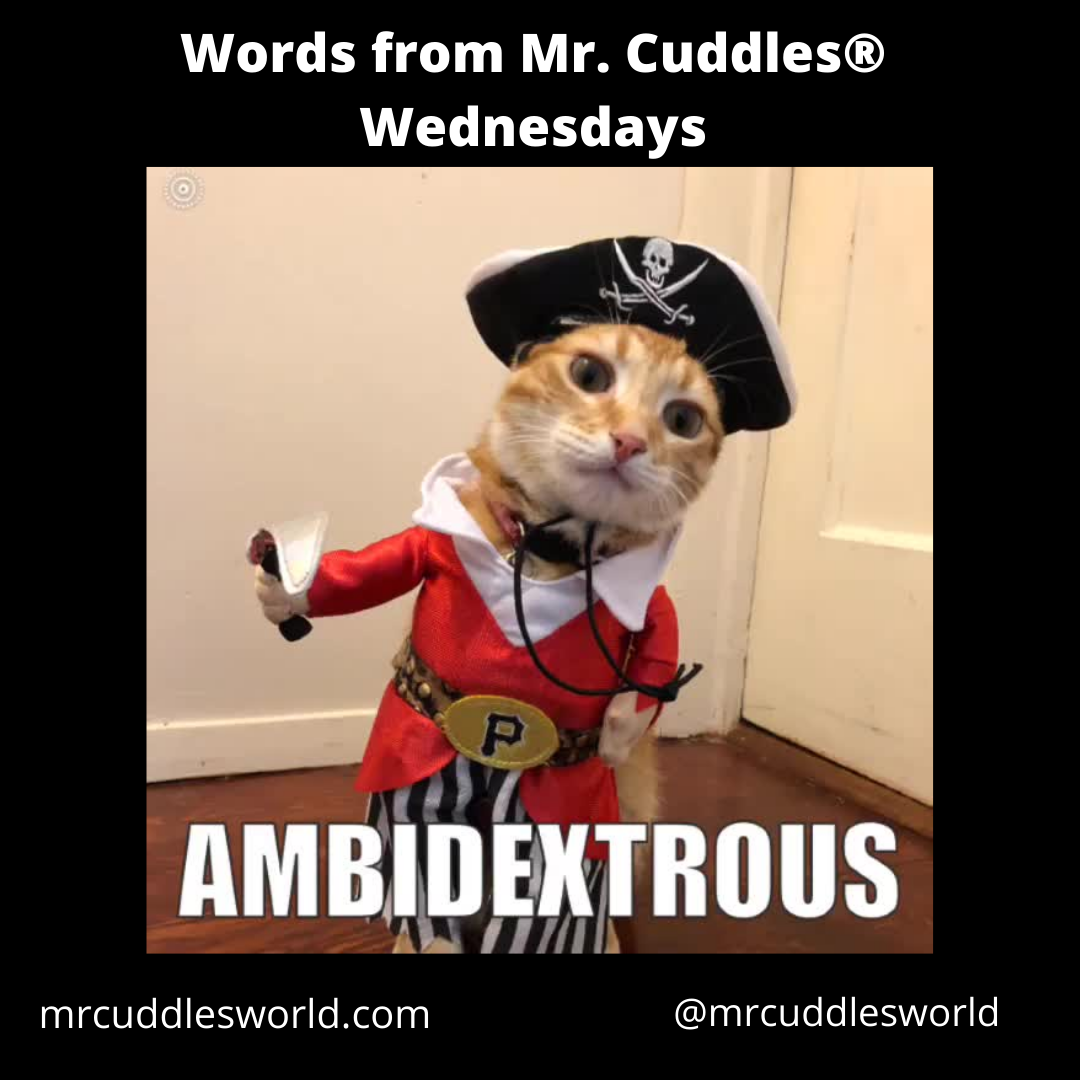 Words from Mr. Cuddles® Wednesdays, Educational Video Cat Presents Word “Ambidextrous”