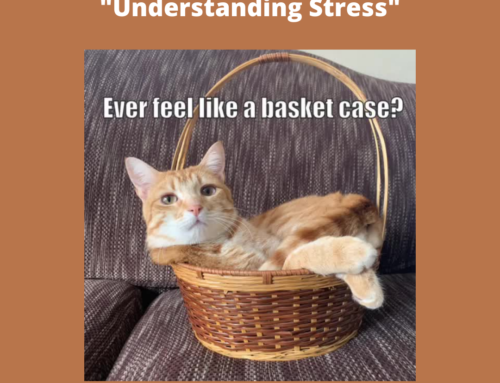 More About Mr. Cuddles® Monday, Educational Video Star Talks about How He Handles Stress