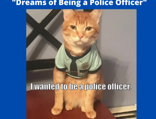 More About Mr. Cuddles® Videos, Educational Video Cat Star Wanted to Be a Police Officer