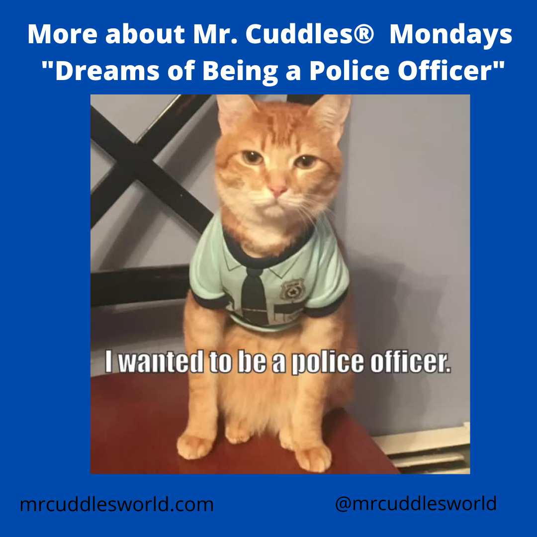More About Mr. Cuddles® Videos, Educational Video Cat Star Wanted to Be a Police Officer
