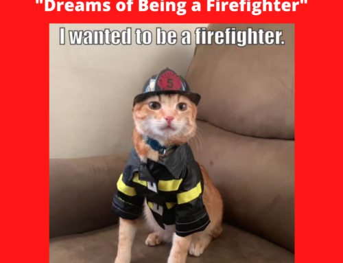 More About Mr. Cuddles® Monday, Educational Video Cat Star Wanted to Be a Firefighter