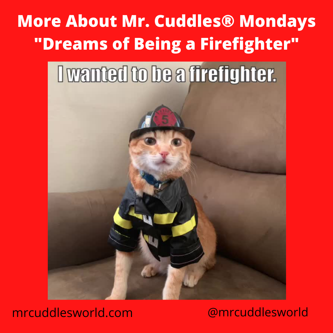 More About Mr. Cuddles® Monday, Educational Video Cat Star Wanted to Be a Firefighter